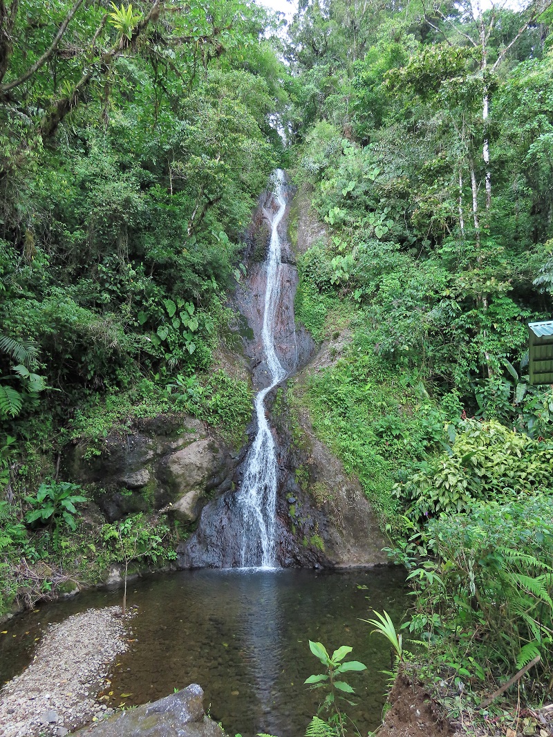 Waterfall at Quelitales. Photo © Gina Nichol 