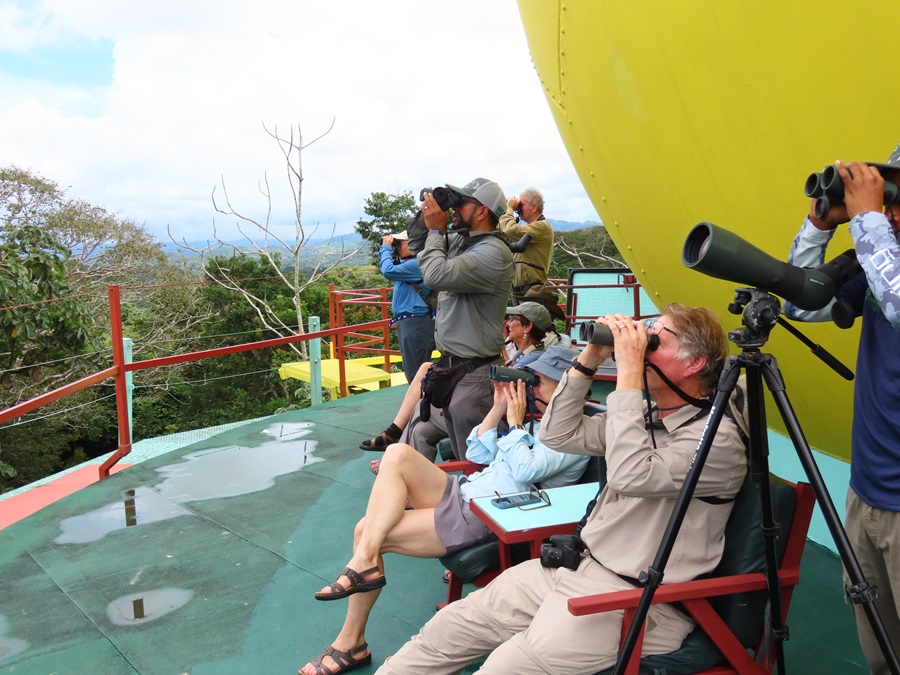 Birding from the observation deck of the Canopy Tower.