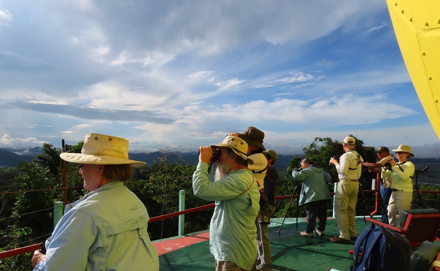 Birding from the observation deck.
