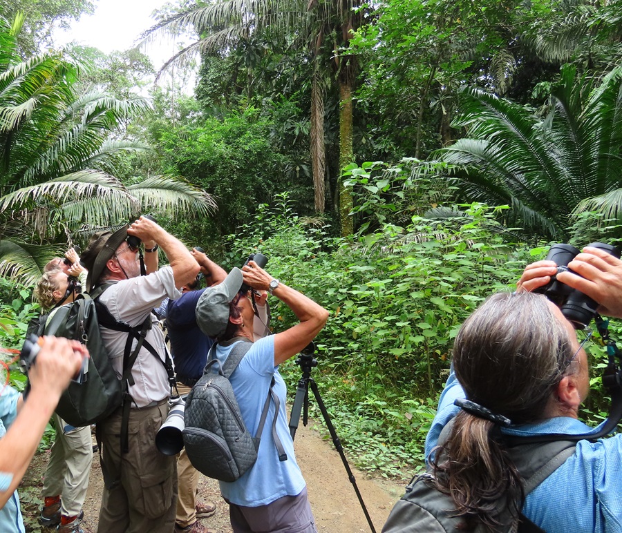 Birding the famous Pipeline Road in Panama © Gina Nichol