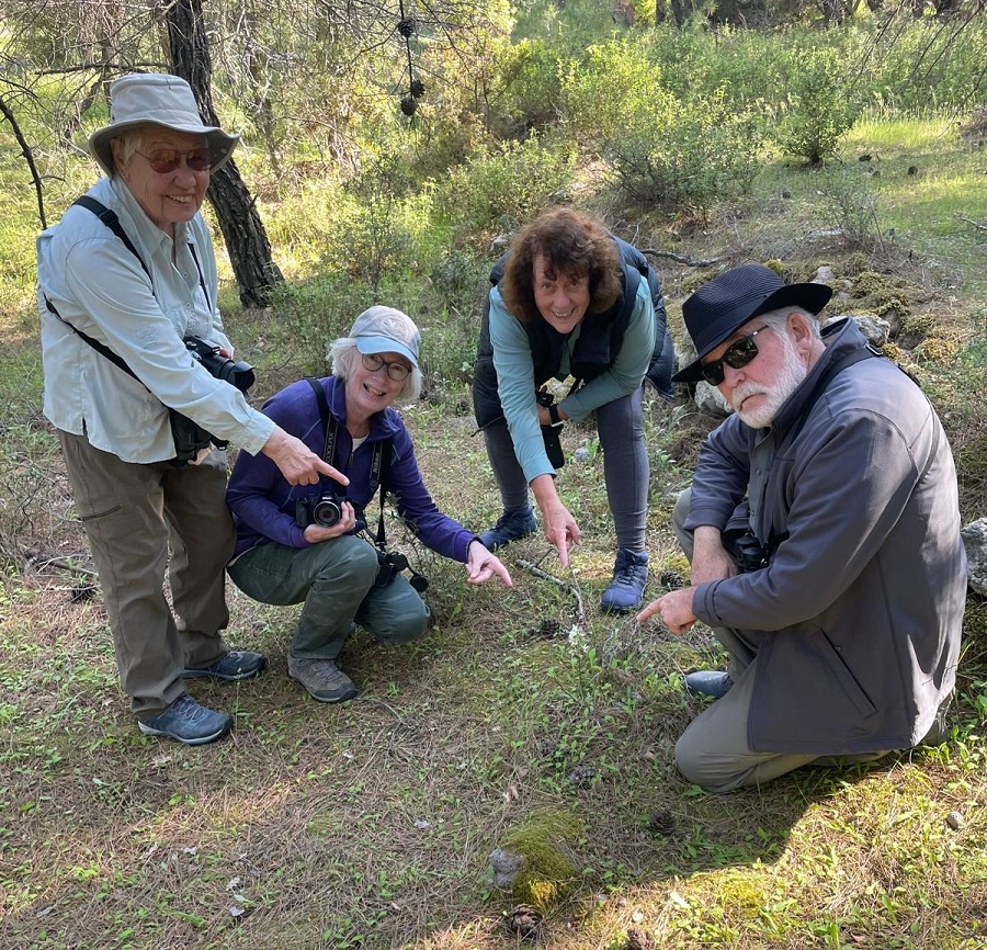 Orchid enthusiasts with Roman Orchid.! Photo © Paul Manning