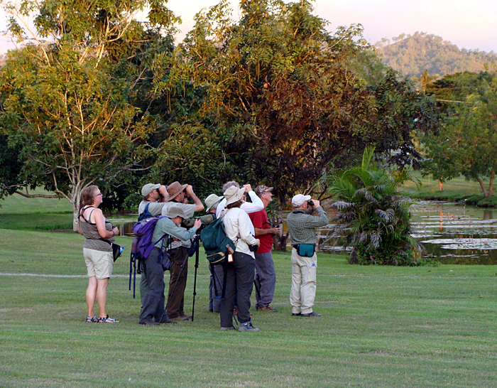 Birding at the Pacific Adventist University grounds.  Photo by Gina Nichol.