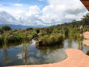 View from restaurant at Rondon Ridge.  Photo by Gina Nichol.