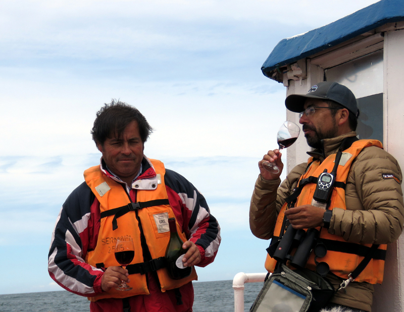 Celebrating a successful Pelagic, the Chilean way! Photo © Gina Nichol.