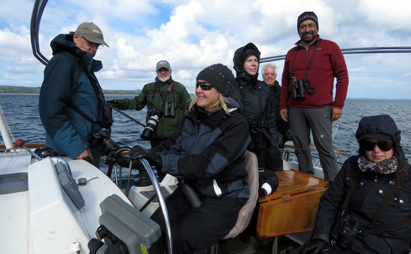 Sailing In Relonvcavi Sound, looking for Pincoya Storm Petrel. Photo © Gina Nichol. 