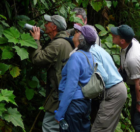 Birders in Colombia. Photo by Gina Nichol.