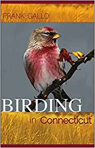 Birding in Connecticut, a new book by Frank Gallo.